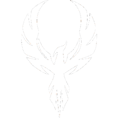 Fenix Training Gym